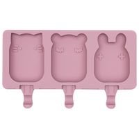 We Might Be Tiny Silicone Popsicle Mould With Lid & Sticks - Dusty Rose